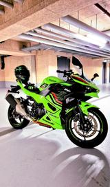 Kawasaki Ninja 500 SE  - KAWASAKI NINJA 500