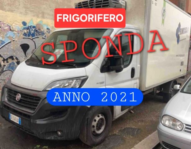 Fiat FIAT DUCATO 2.3 160cv FRIGO SPONDA 2021