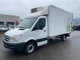 Mercedes-Benz Sprinter 313 316 Cdi Thermoking V-500 - Mercedes-Benz The