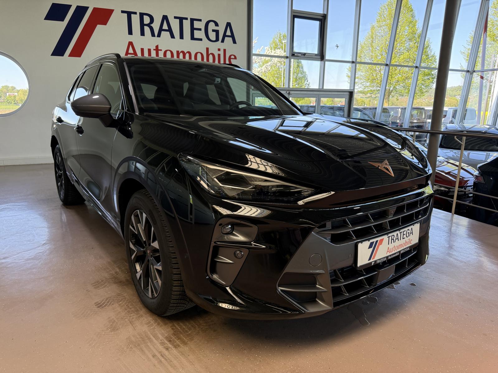 Cupra Terramar 2.0 TSI 4Drive AHK Pano XL Performance