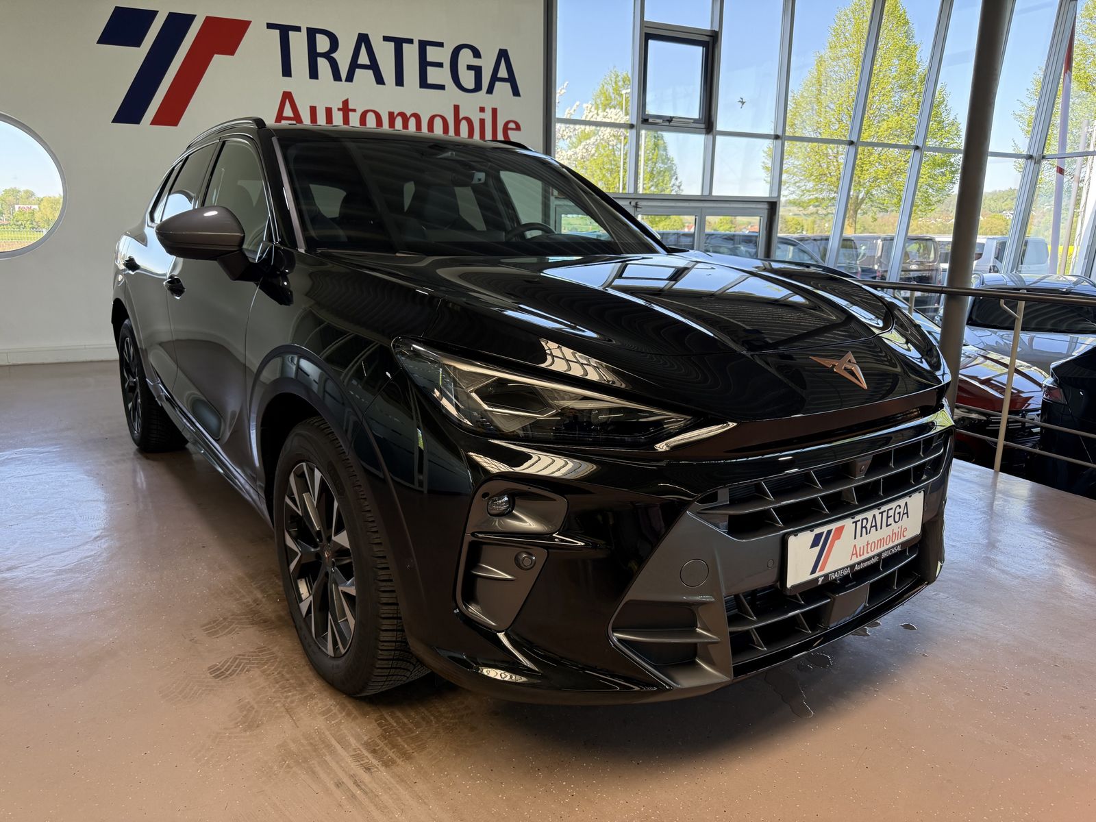 CUPRA Terramar 2.0 TSI 4Drive AHK Pano XL Performance