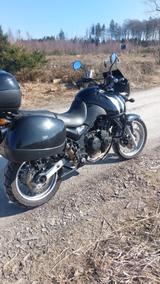 Triumph Tiger - Offers matching your search criteria