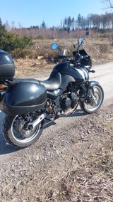 Triumph Tiger - Offers matching your search criteria