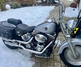 Harley-Davidson FLSTF Fatboy - Harley-Davidson Motorräder in Augsburg