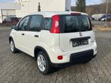 Fiat Panda Base / Radio, Bluetooth, Klima, elektr. FH - Fiat Panda in Chemnitz
