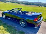 Ford Mustang - Ford Mustang aus 2003