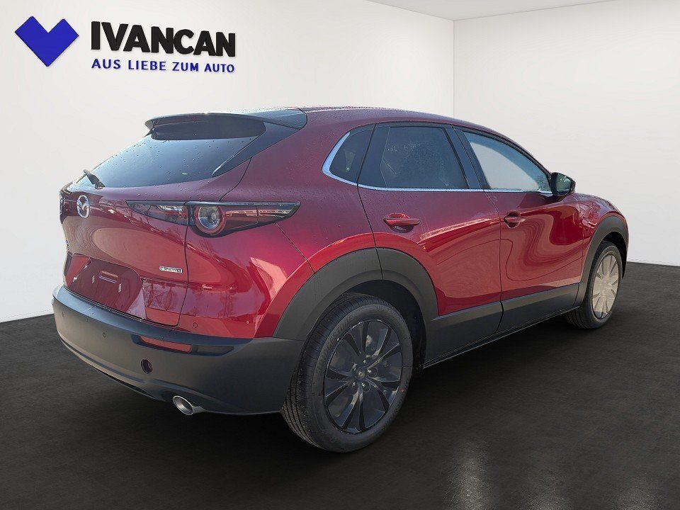 Fahrzeugabbildung Mazda CX-30 X 2.0i 186PS A/T AWD Homura