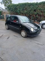 Volkswagen Lupo 1.0 COMFORTLINE Comfortline - Volkswagen Lupo: Comfortline