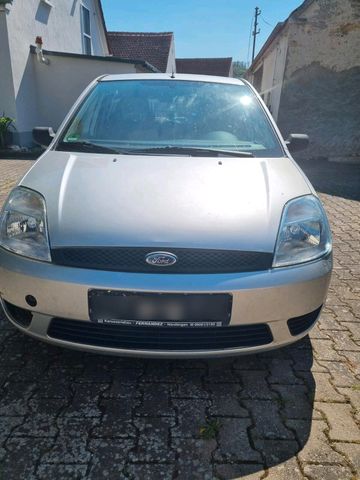 Ford Fiesta Winterauto