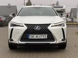 Lexus UX 250h - - weiße Lexus UX