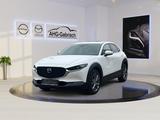 Mazda CX-30 AWD, RF-Kamera, Navi - Mazda CX-30 in Hannover