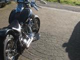 Harley-Davidson FatBoy - MOTORRAD AUS DEM JAHR 1995