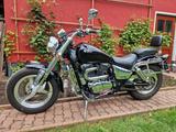 Suzuki VZ800 Intruder - Angebote entsprechen deinen Suchkriterien