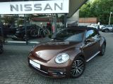 Volkswagen Beetle Cabriolet Allstar Windschott Leder Alu - : Roadster, Windschott