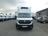 Renault NEW Master 2025 Kühlkoffer LBW Xarios 300 Premiu - Neu Autotransporter