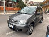 Fiat Panda 1.3 MJT 16V 4x4 Climbing - Fiat Panda Climbing mit Diesel-Antrieb