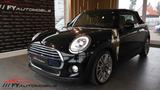 MINI Cooper Cabrio Cooper Cabrio Navi LED H&K 8xbe. - MINI Cooper Cabrio: Automatik