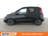 Fiat Panda 1.2 Lounge *KLIMA*GARANTIE* - Fiat in Bochum