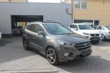Ford Kuga 2,0 EcoBoost 4x4 ST-Line Aut*DAB*P-Dach*AHK - Ford Kuga: 2x4