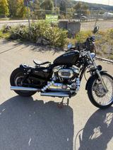 Harley-Davidson Sportster 1200 custom - HARLEY-DAVIDSON 2005 SPORTSTER 1200