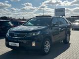 Kia Sorento Platinum Edition 4WD Leder/LED/SHZ/TEMPO - Kia Sorento in Braunschweig
