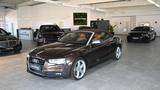 Audi A5 Cabriolet 3.0 TDI quattro *TOP*AHK*LEDER - Audi A5: 3.0