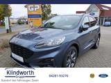 Ford Kuga 2.0 EcoBlue Hybrid ST-LINE X GJR,Pano - Ford Kuga ST-Line mit Hybrid-Antrieb (Diesel-Elektro)