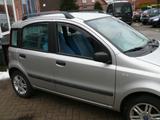 Fiat Panda 1.2 8V Emotion - Fiat Panda Emotion mit Benzin-Antrieb