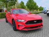 Ford Mustang 2.3 EcoBoost EU-Ausführung - Ford Mustang aus 2019