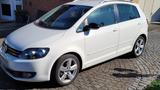 Volkswagen Golf Plus 1,6 TDI Style  - Volkswagen Golf Plus: Weiß