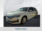 Skoda Octavia Combi 1.5 TSI Essence DSG AHK Smart Link - Skoda Octavia Jahreswagen: Allradantrieb