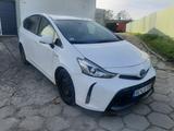 Toyota Prius+ 1.8-l-VVT-i Comfort Comfort - mit Hybrid-Antrieb: Taxi, Kleinbus