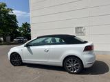 Volkswagen Golf 2.0 TSI BMT GTI GTI - Volkswagen Golf mit Diesel-Antrieb: GTI