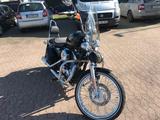 Harley-Davidson Sportster XL 1200 V - HARLEY-DAVIDSON CHOPPER SPORTSTER