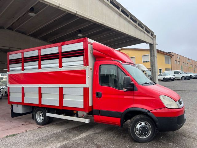 Iveco daily 35.15 Trasporto animali vivi patente