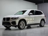 BMW X3 2.0 xDrive 20 d Advantage/Gepflegt/AHKSchwenk - BMW X3: 2.0