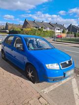 Skoda Fabia 1,2 L 4/5 Türer - Skoda Fabia: Türer