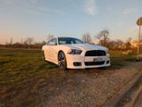 Dodge Charger SRT8, 6,4l, Vialle LPG-Anlage - mit LPG-Antrieb: Limousine