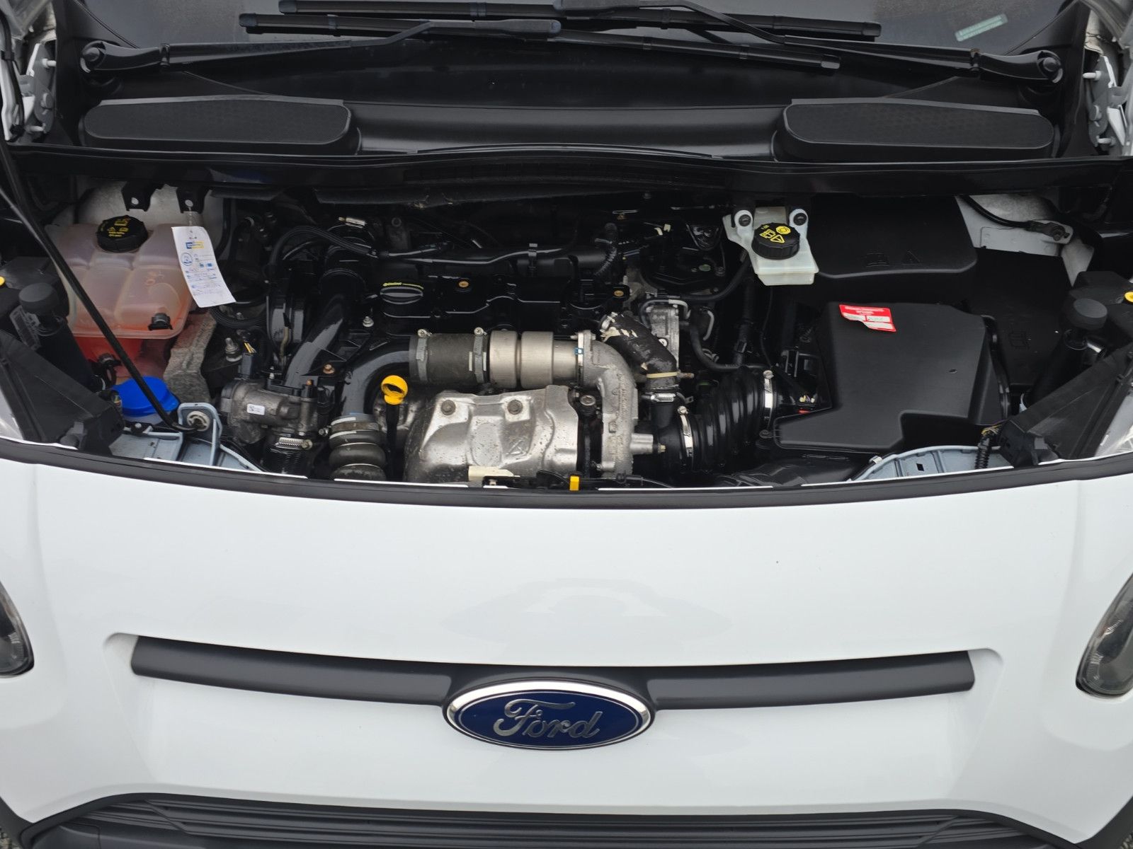 Fahrzeugabbildung Ford Transit Connect Kasten 8 FACH BEREIFT