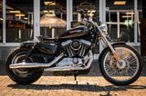 Harley-Davidson XL1200C Sportster 1200 Custom - HARLEY-DAVIDSON 2008 SPORTSTER 1200