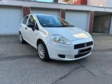 Fiat Punto 1.2 8V EASY EASY - Fiat Punto in Essen