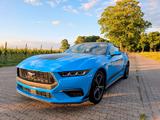 Ford MUSTANG 2.3 ECOBOOST WIDESCREEN ACC B&O CAM TOTW - gebrauchte Ford Mustang aus dem Jahr 2024