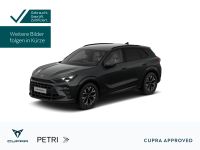 Cupra Terramar - Vorschau Bild 1