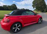 Volkswagen VW Beetle Cabriolet 2.0 TDI DSG | Automatik - Volkswagen Beetle: TDI