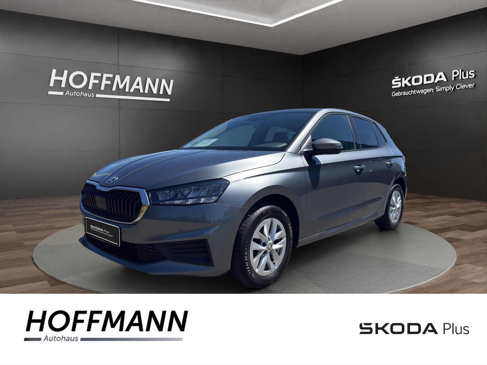 Fahrzeugbild von Skoda Fabia