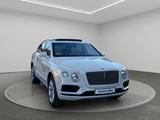Bentley Bentayga W12 Panorama - Bentley aus 2017