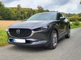Mazda CX-30 2.0 SKYACTIV-G M-Hybrid 150 - - Mazda CX-30 in Hannover