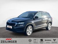 Skoda Karoq - Vorschau Bild 1