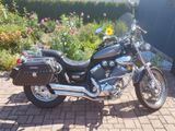Yamaha Virago  - Offers matching your search criteria