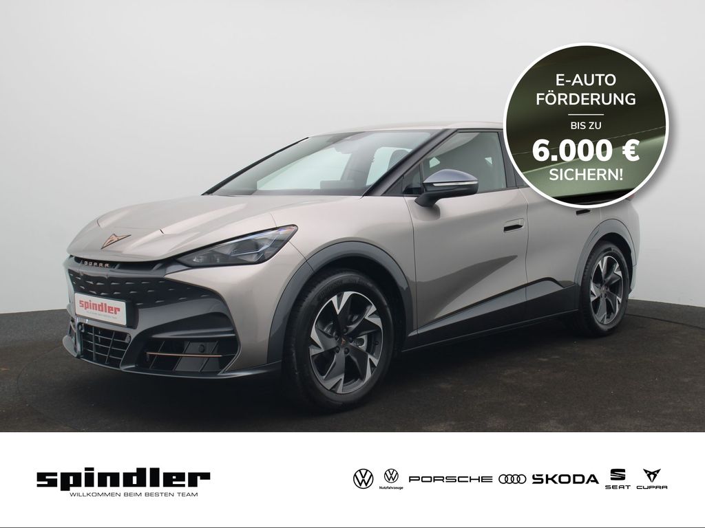 Tavascan Endurance ++sofort verfügbar++